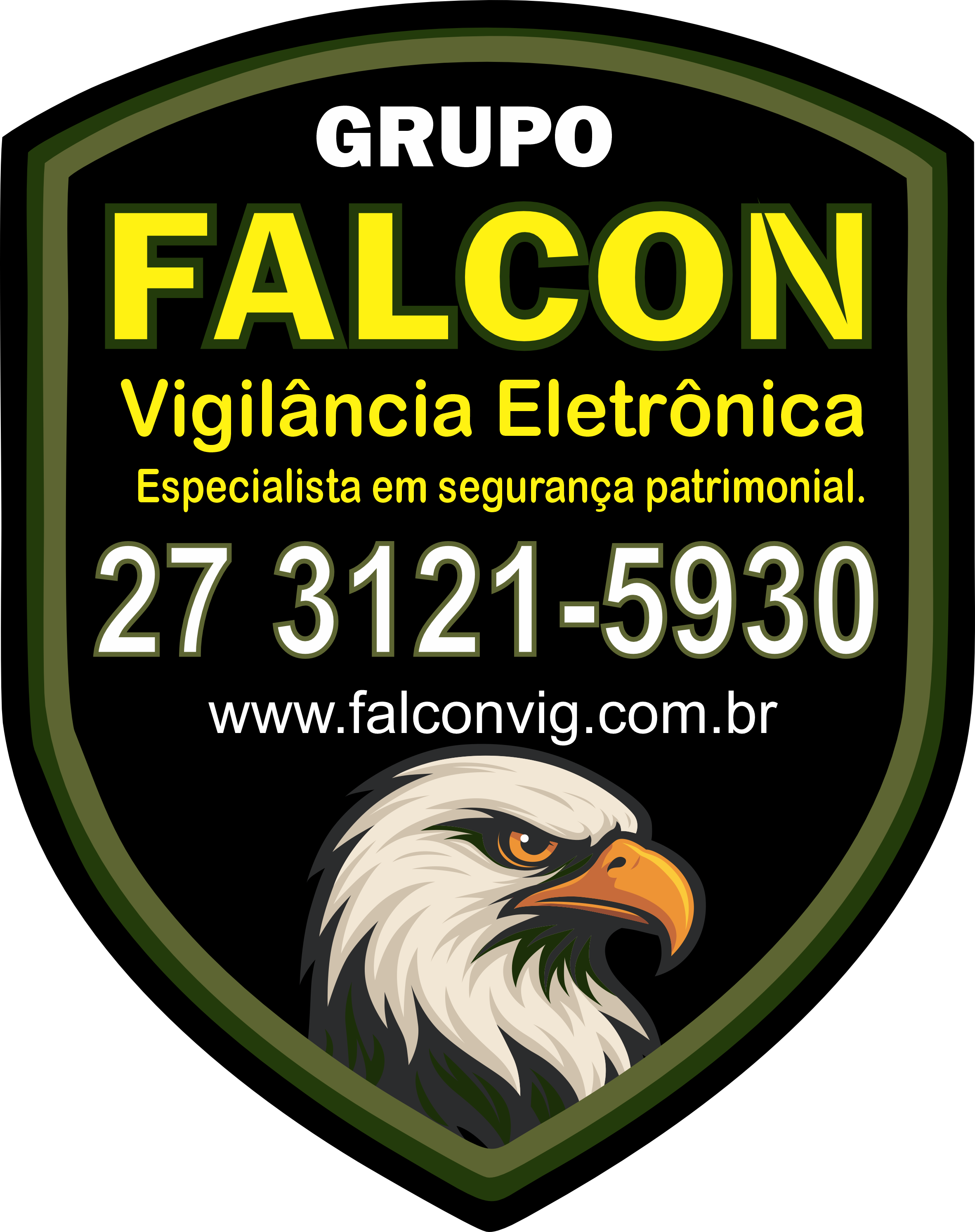 Falcon Vigilância Eletrônica